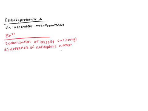 carboxypeptidase-a-a-z-n2-containing-enzyme-hydrolyzes-the-c-terminal-peptide-bonds-of-polypeptides-