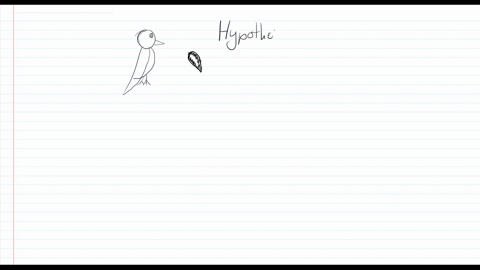 which-sentence-best-describes-the-logic-of-scientific-inquiry-a-if-i-generate-a-testable-hypothesi-2
