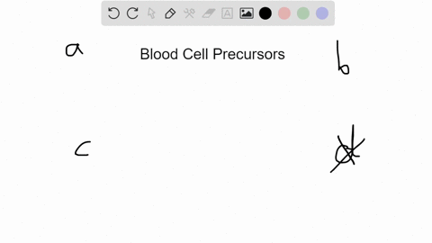 which-of-the-following-contains-the-richest-population-of-the-stem-cell-precursors-for-red-and-white
