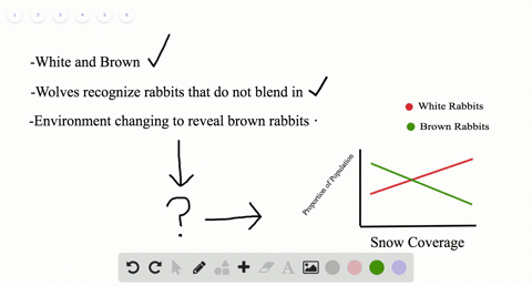 questions-23-25-in-a-certain-population-of-rabbits-in-the-midwestern-united-states-there-are-two-a-3