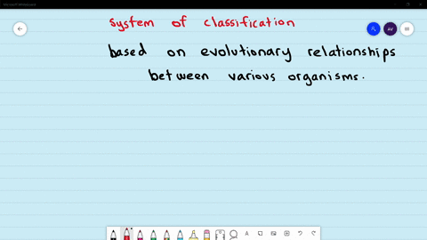classification-systems-were-based-on-evolutionary-relationships-between-various-organisms-a-natural-