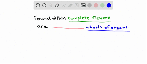 how-many-whorls-of-organs-occur-in-complete-flowers-a-two-b-four-c-six-d-eight-e-ten
