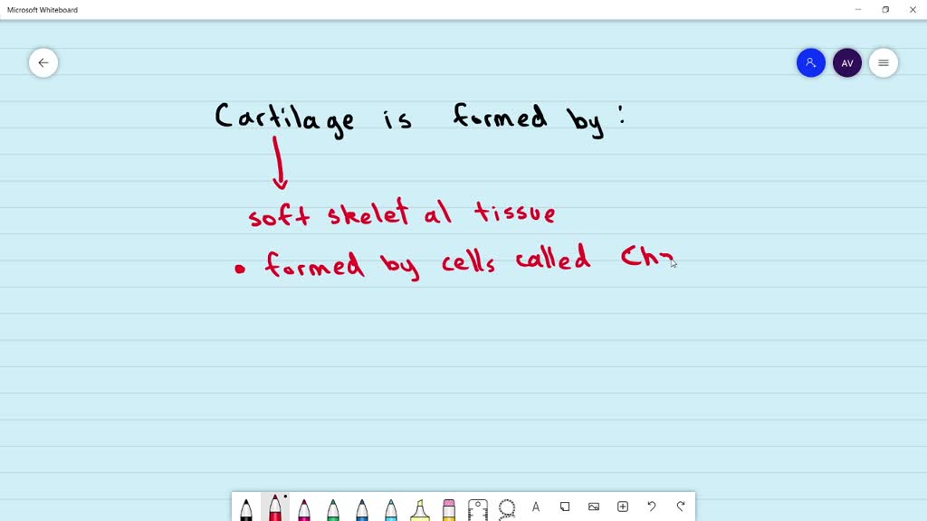 SOLVED:Cartilage is formed by (a) chondrocytes (b) osteoblasts (c