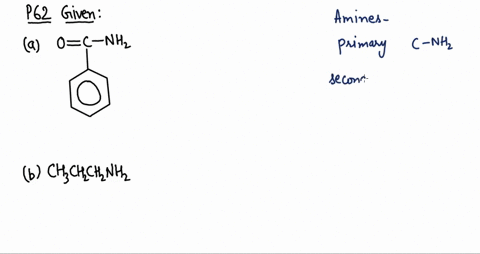 identify-each-of-the-following-compounds-as-a-primary-secondary-or-tertiary-amine-or-as-an-amide-2