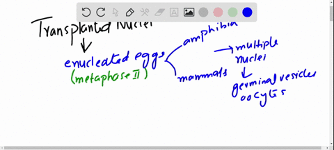 suppose-you-had-conducted-a-series-of-experiments-in-which-you-had-transplanted-nuclei-from-severa-2