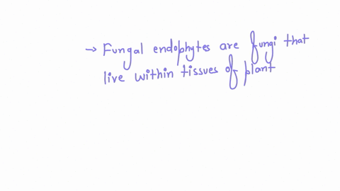 what-role-do-fungal-endophytes-play-in-nature-a-they-are-decomposers-b-they-are-human-pathogens-that