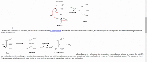 why-does-citrate-isomerize-to-isocitrate-before-any-oxidation-steps-take-place-in-the-citric-acid--3