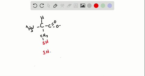 what-are-the-effects-of-disulfide-bond-formation-on-the-structure-of-proteins-2