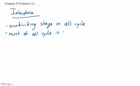 this-statement-interphase-is-a-resting-period-for-the-cell-before-it-begins-mitosis
