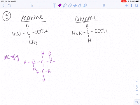 draw-lewis-structures-for-the-two-dipeptides-that-contain-both-alanine-and-glycine-2