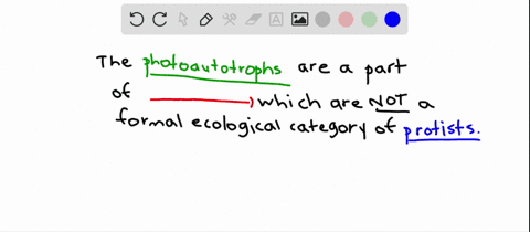 which-informal-ecological-group-of-protists-includes-photoautotrophs-a-protozoa-b-algae-c-fungus-lik