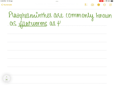 platyhelminthes-are-also-called-________