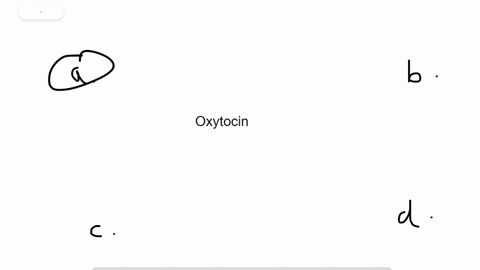 during-labor-secretion-of-oxytocin-causes-______-a-uterine-contractions-b-rupture-of-the-amnion-c-ov