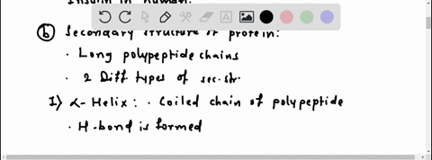 comment-on-the-following-features-of-proteins-a-primary-structure-b-secondary-and-tertiary-structure