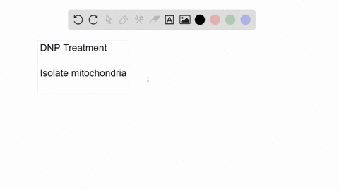 how-could-you-determine-if-the-mitochondrial-etc-is-affected-in-dnp-treated-mice-propose-an-experime