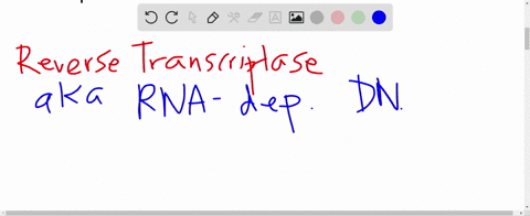 reverse-transcriptase-assembles-an-____________-on-an-______________-template-a-mrna-dna-b-c-d-n-a-m
