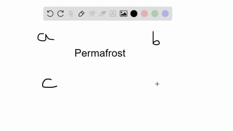 permafrost-underlies-_________-a-grasslands-b-arctic-tundra-c-temperate-deciduous-forests-d-conifero