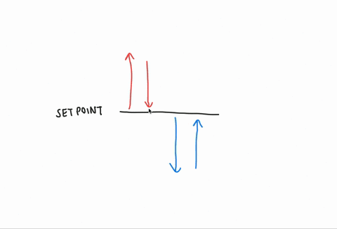 Set Point Example How is a condition such as diabetes a good example of the...