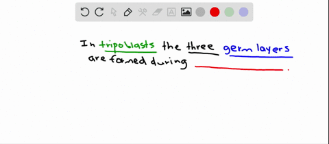 the-three-germ-layers-of-triploblasts-are-established-during-a-fertilization-d-gastrulation-b-cleava