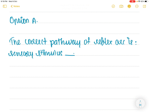 what-is-the-correct-path-of-a-reflex-arc-a-sensory-stimulus-rightarrow-dendrite-rightarrow-mathrmaxo