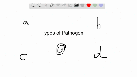 which-of-the-following-pathogens-possesses-a-plasmid-a-virus-b-prion-c-bacterium-d-all-of-these-ar-2