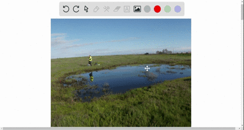 restoring-a-marsh-that-has-been-damaged-by-human-activities-is-an-example-of-_____-a-biological-mayn