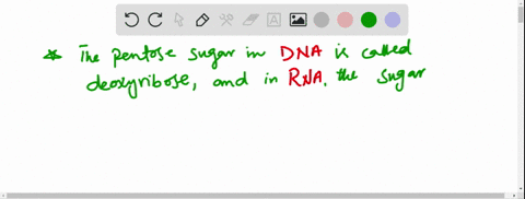 what-is-the-difference-between-ribose-and-deoxyribose