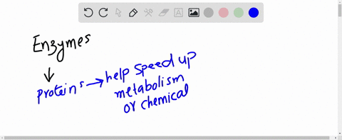 enzymes-a-speed-up-reactions-that-would-otherwise-occur-much-more-slowly-b-spur-reactions-that-would