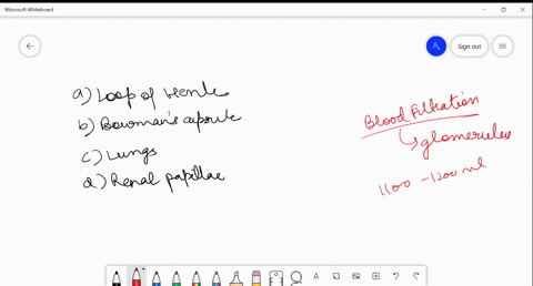 filtration-of-blood-occurs-in-a-loop-of-henle-b-bowmans-capsule-c-lungs-d-renal-papillae