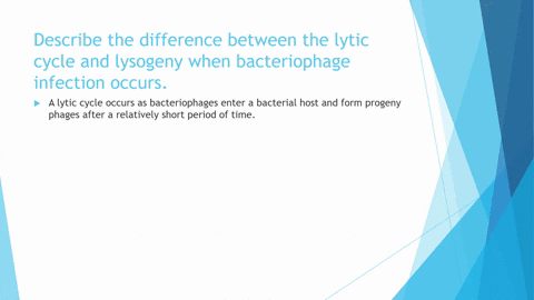 describe-the-difference-between-the-lytic-cycle-and-lysogeny-when-bacteriophage-infection-occurs-2