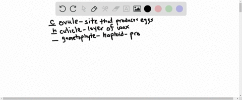 match-the-terms-appropriately-______ovule-______cuticle-______gametophyte-______sporophyte-______fru
