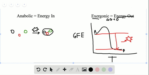 which-pair-of-descriptors-of-chemical-reactions-go-together-a-anabolic-and-exergonic-b-exergonic-and