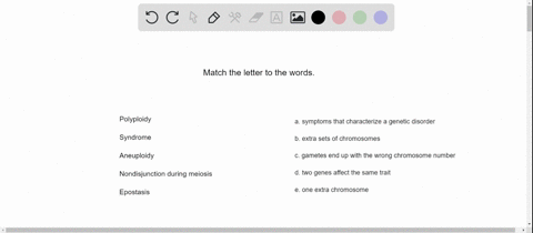match-the-terms-appropriately-_____-polyploidy-_____-syndrome-_____-aneuploidy-_____-nondisjunction-