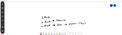 what-is-the-smallest-rna