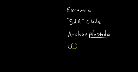 based-on-the-phylogenetic-tree-in-figure-282-which-of-the-following-statements-is-correct-a-the-most