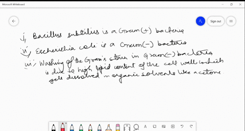 which-of-the-given-statements-are-correct-i-bacillus-subtilis-is-a-gram-bacteria-ii-escherichia-coli