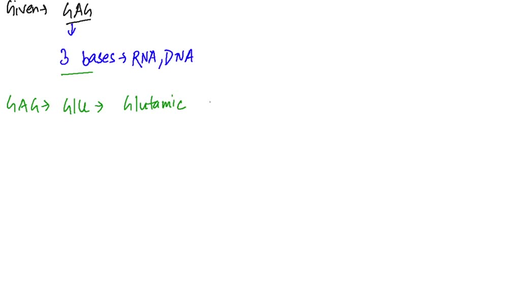 SOLVEDIdentify the amino acid for which the codon GAG codes, and what