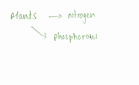 what-are-the-three-elements-other-than-those-used-to-make-roots-stems-and-leaves-that-are-needed-by-