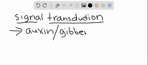signal-transduction-for-both-auxin-and-gibberellins-involves-a-binding-of-the-hormone-to-a-nuclear-r