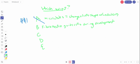 which-of-the-following-statements-about-development-is-incorrect-a-as-microtubules-lengthen-and-slid