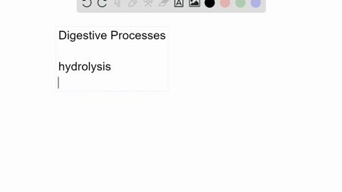which-chemical-processes-take-place-during-digestion-3