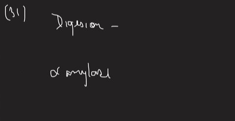 where-does-digestion-occur-in-the-body-and-what-kinds-of-chemical-reactions-does-it-involve