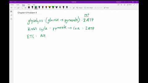 of-the-three-stages-of-cellular-respiration-which-produces-the-most-atp-molecules-per-glucose