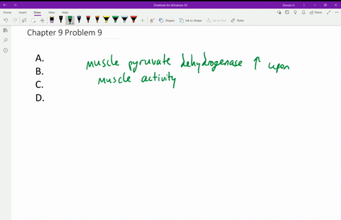 after-a-brief-period-of-intense-exercise-the-activity-of-muscle-pyruvate-dehydrogenase-is-greatly-in