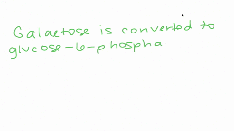 how-do-galactose-and-fructose-obtained-from-the-digestion-of-carbohydrates-enter-glycolysis