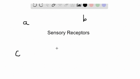 identify-the-type-of-sensory-receptor-that-matches-the-description-some-answers-may-be-used-more-t-2