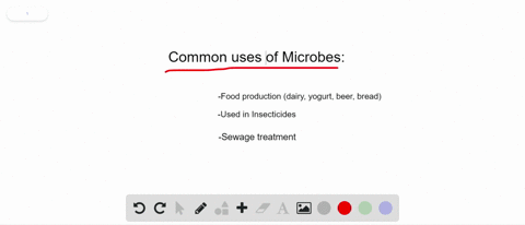what-are-some-ways-people-use-microbes