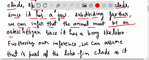 this-animal-is-a-vertebrate-with-hair-what-can-you-infer-about-its-phylogeny-use-the-information-in-