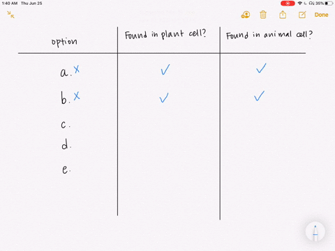which-one-of-the-following-organelles-is-not-found-in-both-plant-and-animal-cells-a-nucleus-b-rough-
