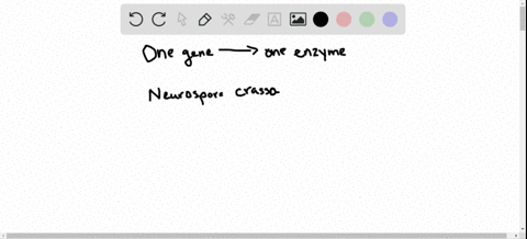 how-did-experiments-with-neurospora-crassa-mutants-support-the-one-gene-one-enzyme-hypothesis